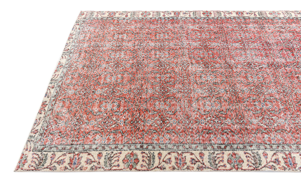 269 x 155 Ultra Vintage