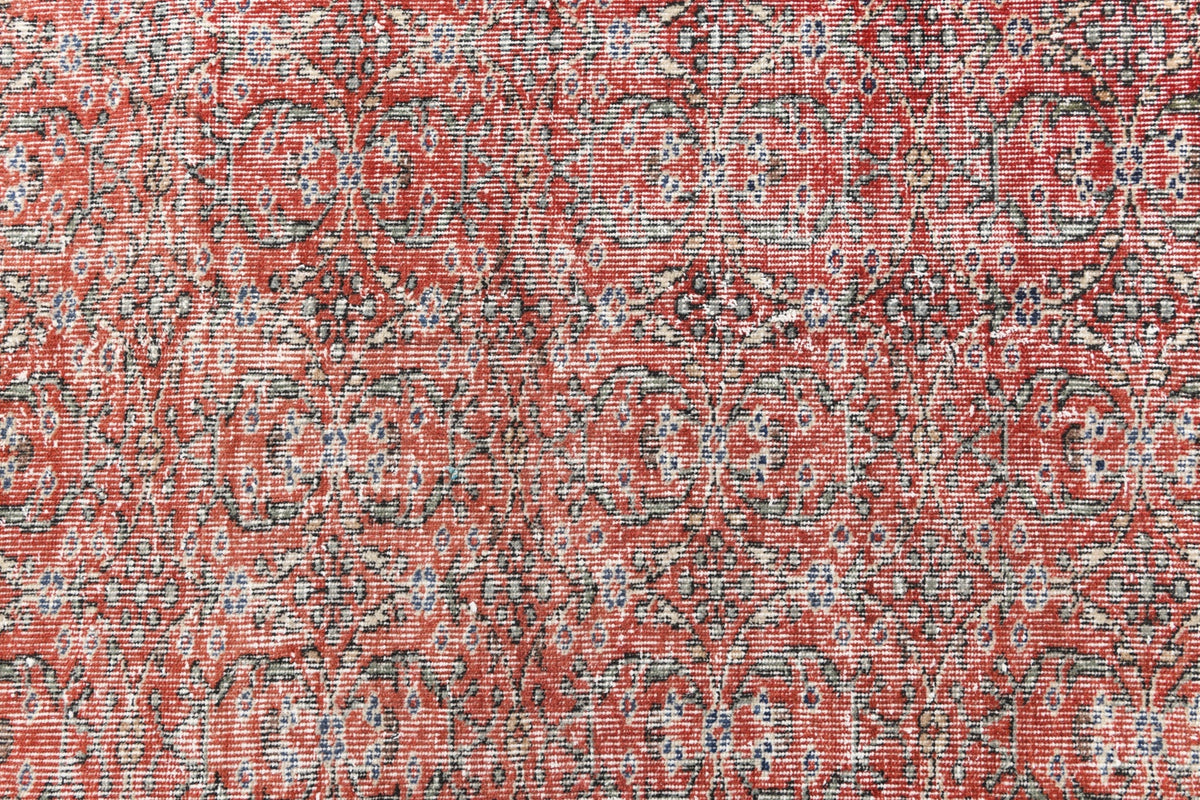 269 x 155 Ultra Vintage