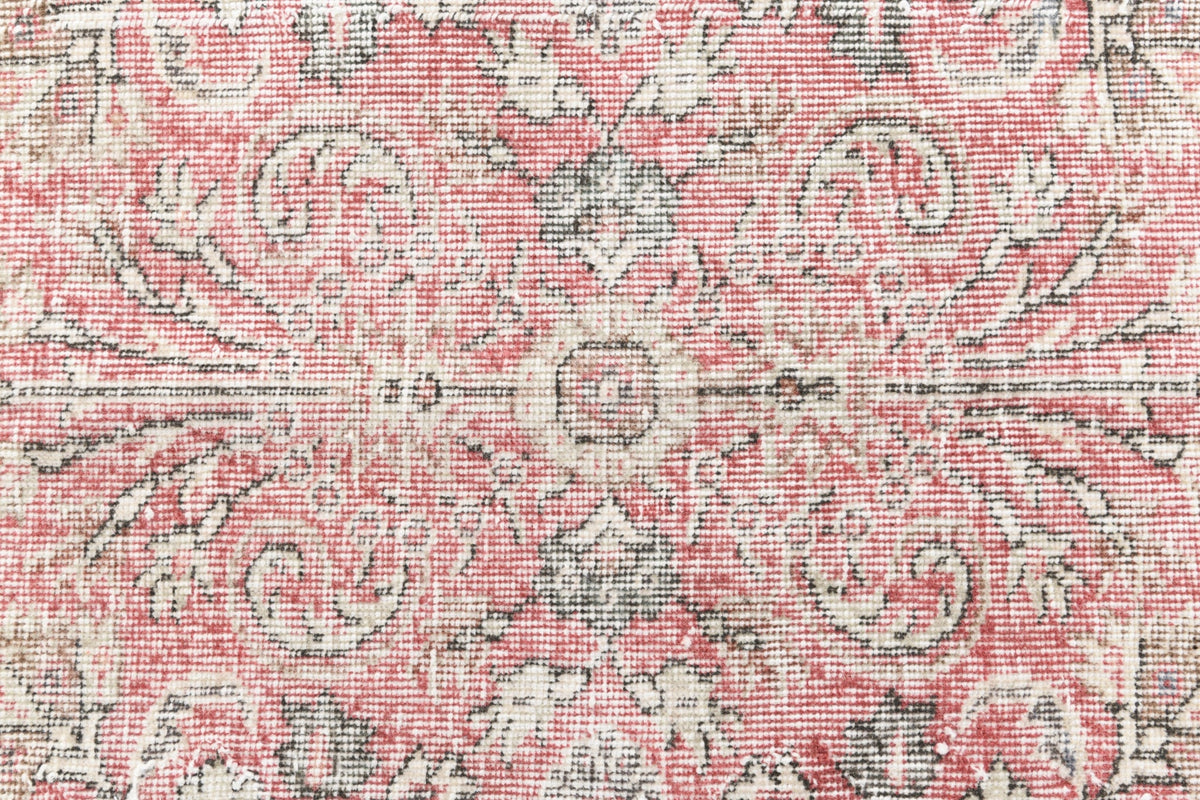 277 x 168 Ultra Vintage