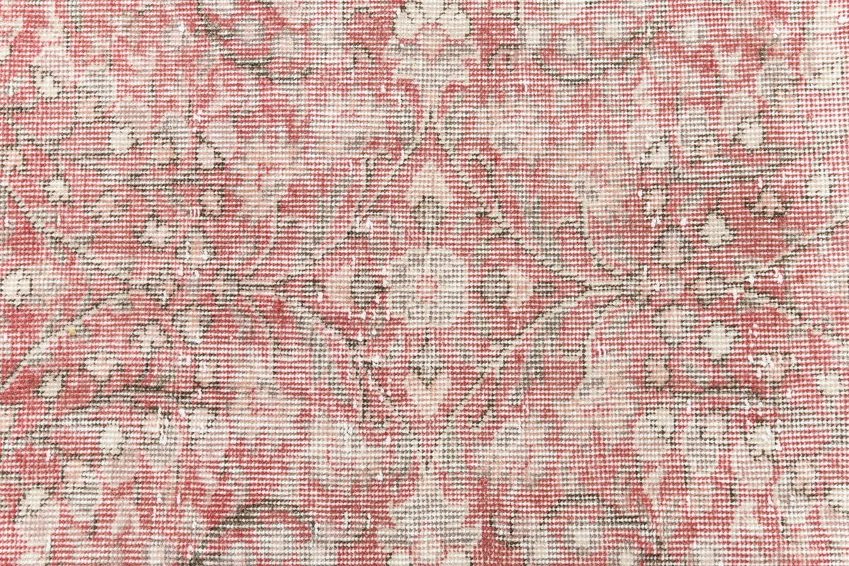 277 x 165 Ultra Vintage