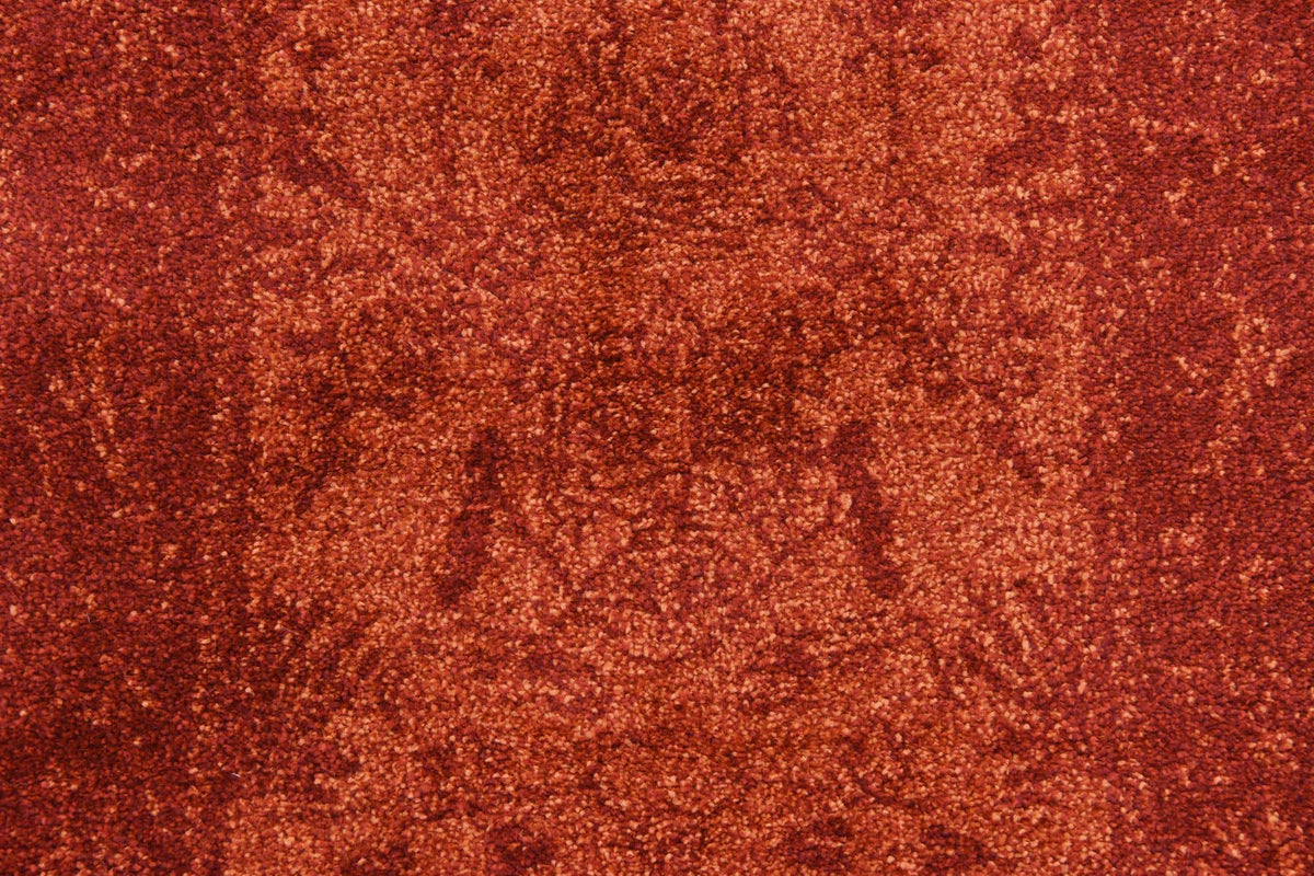 61x183 Vista