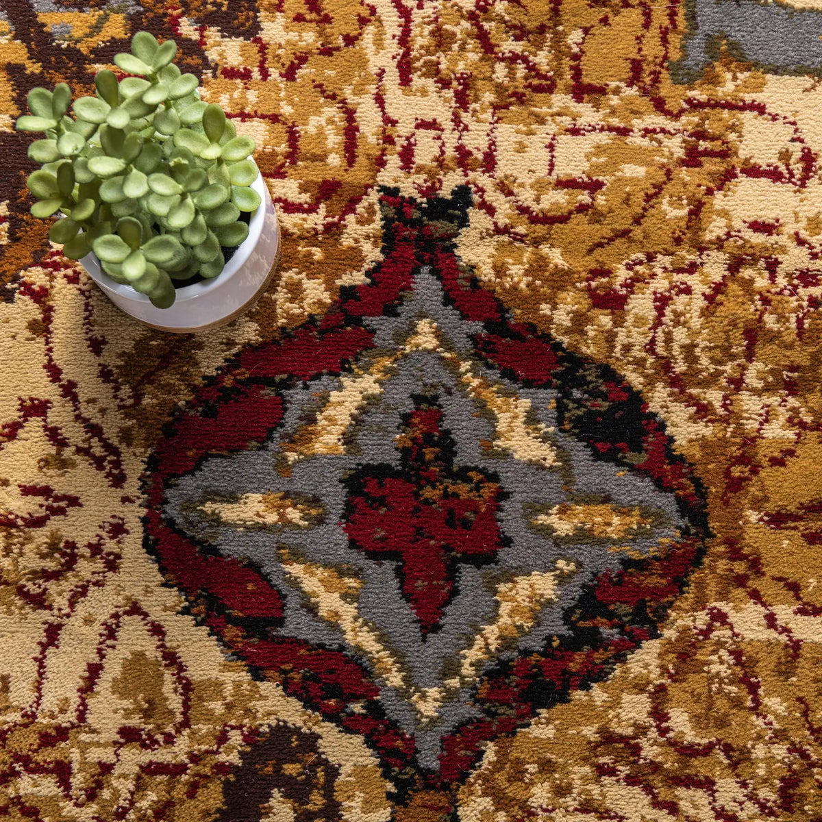 152x244 Caffè