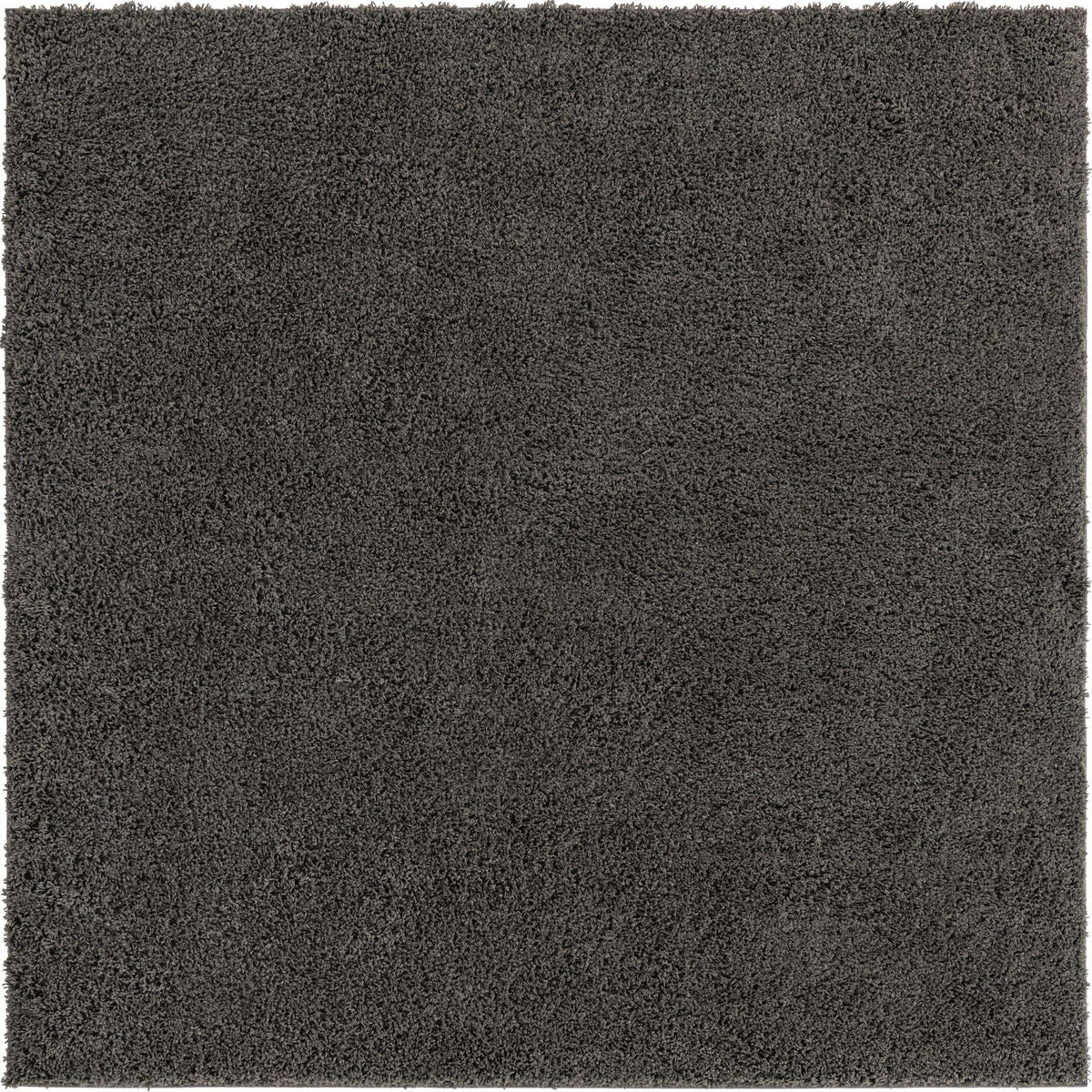 239x239 Shag quotidiano