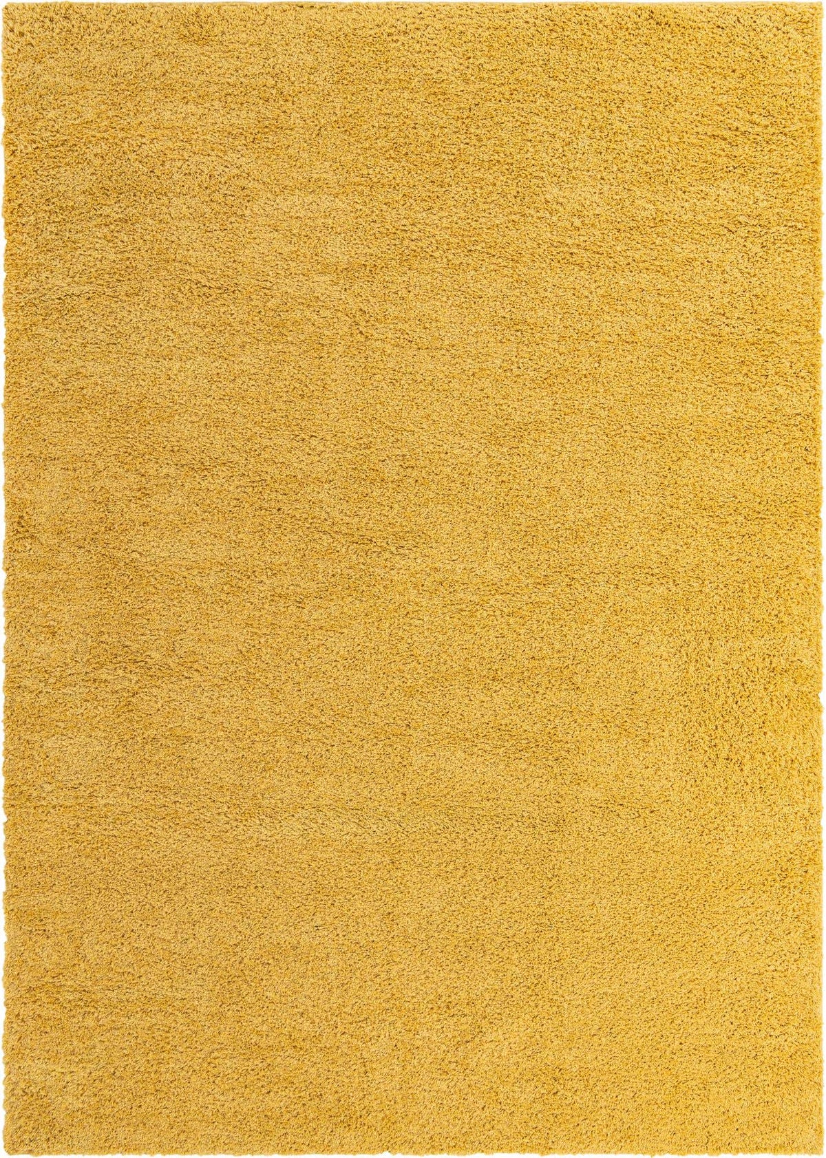 305x424 Shag quotidiano