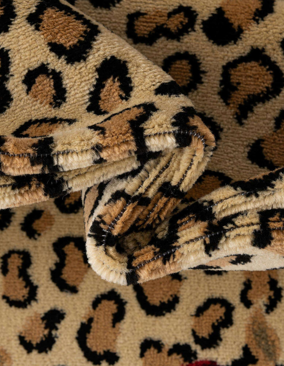 305x239 Safari