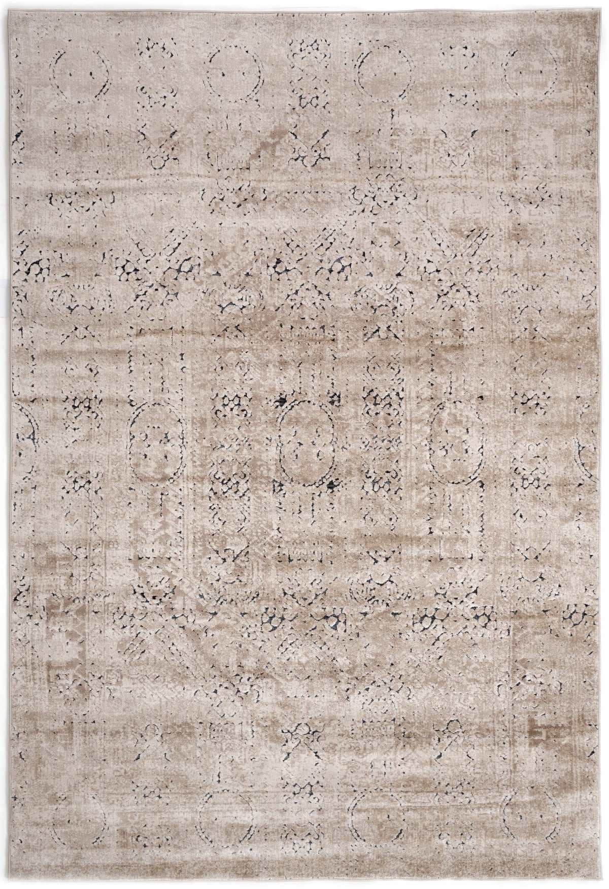 230x160 Hadorn Edizione limitata