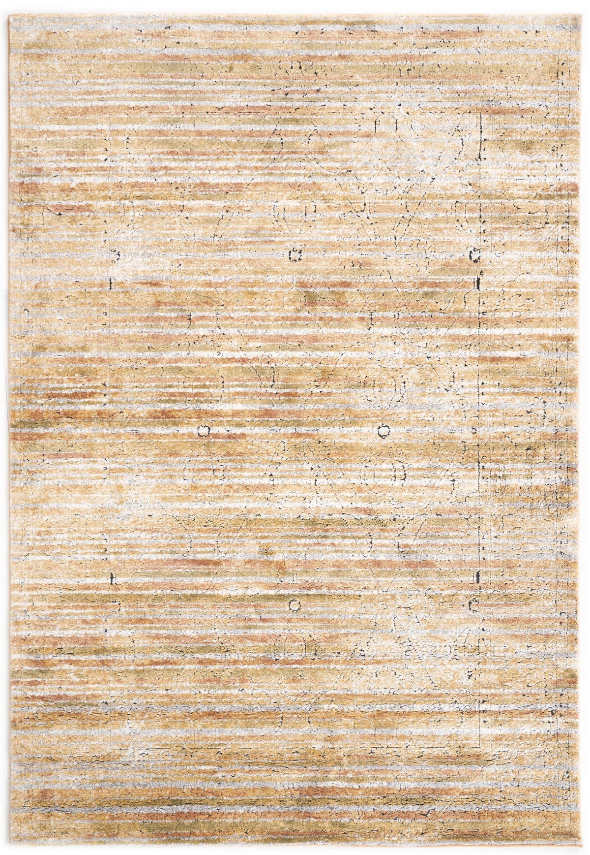 230x160 Hadorn Edizione limitata