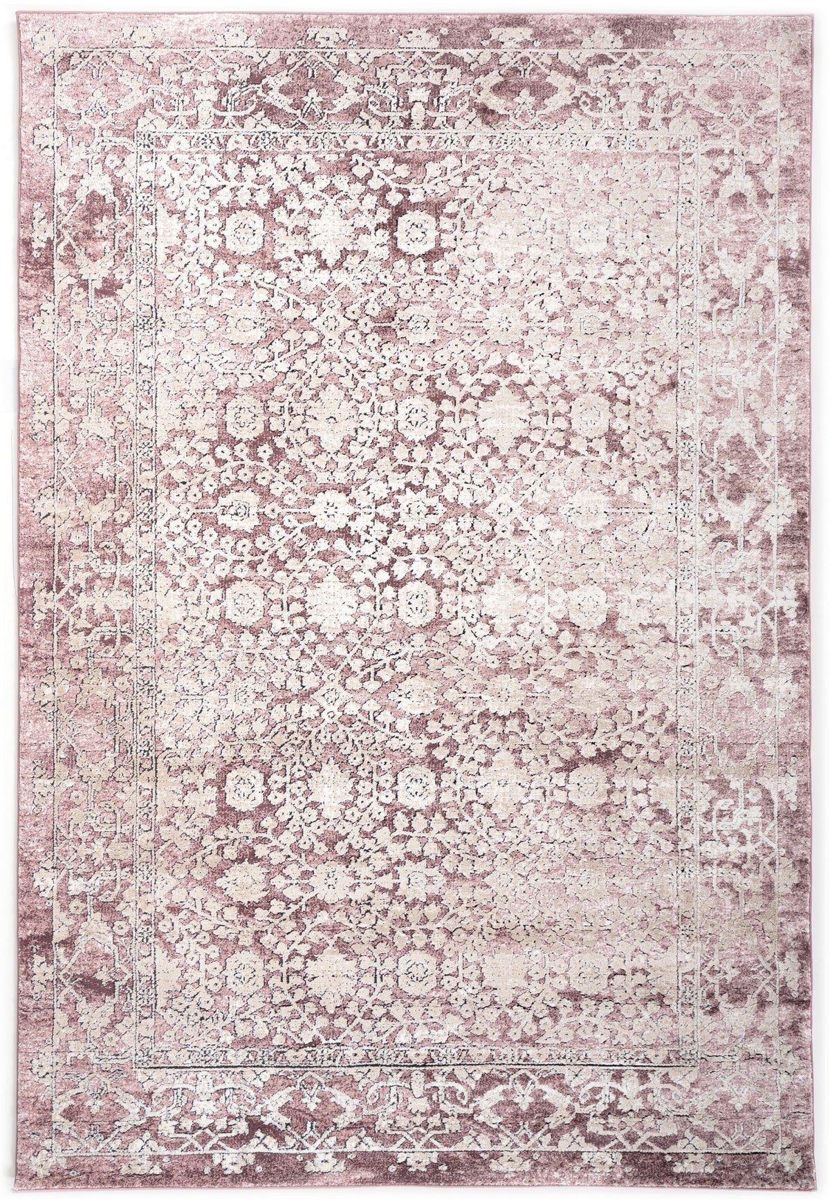 230x160 Hadorn Edizione limitata