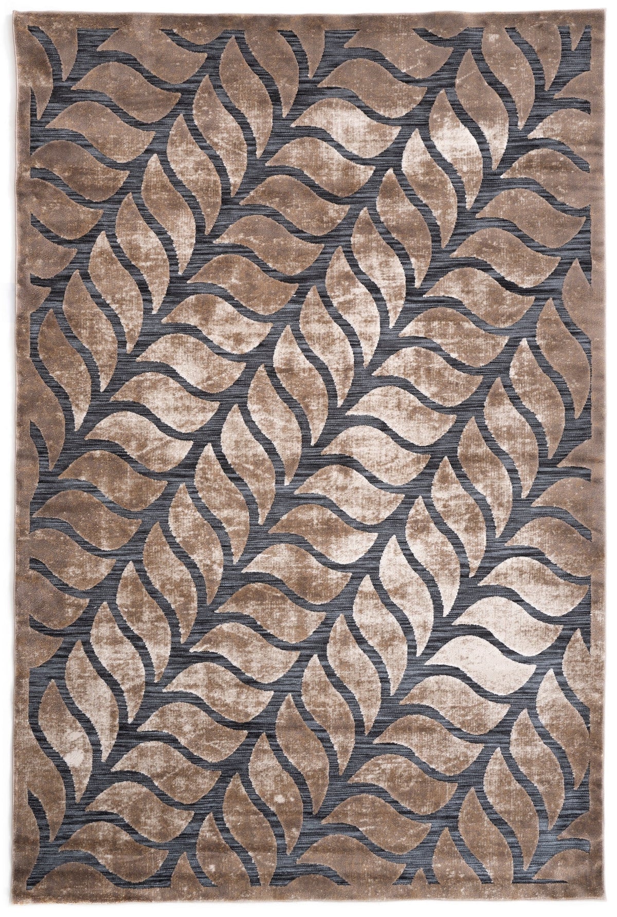 230x160 Hadorn Edizione limitata