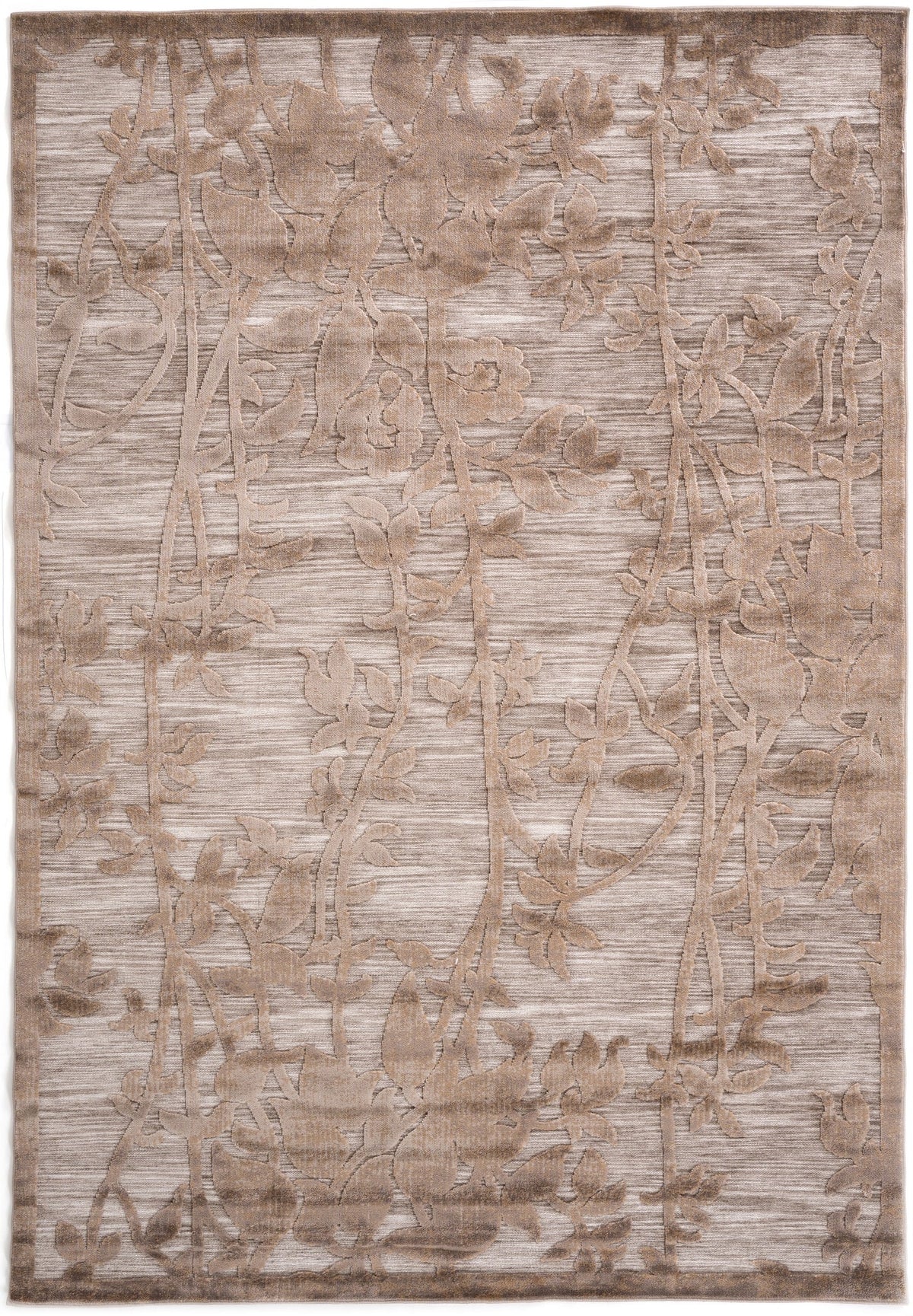 230x160 Hadorn Edizione limitata