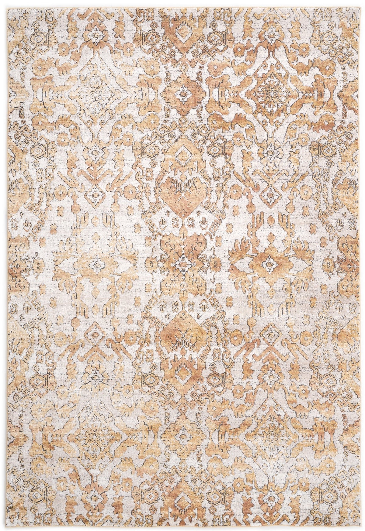 230x160 Hadorn Edizione limitata