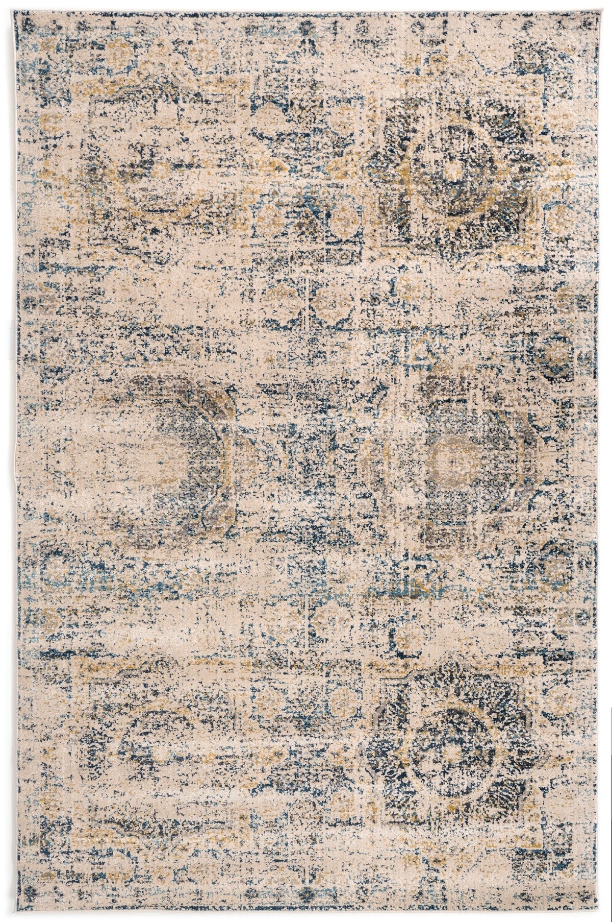 230x160 Hadorn Edizione limitata