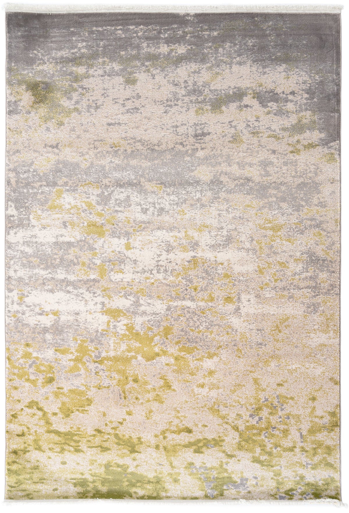 230x160 Hadorn Edizione limitata