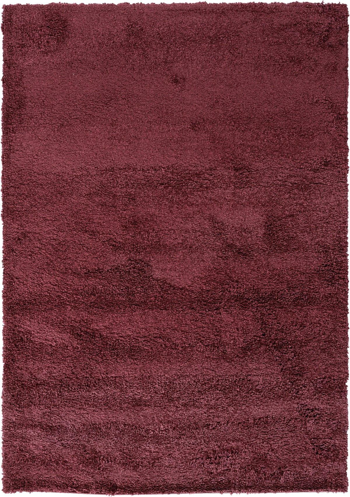 230x160 Shaggy - Hadorn Limited Edition