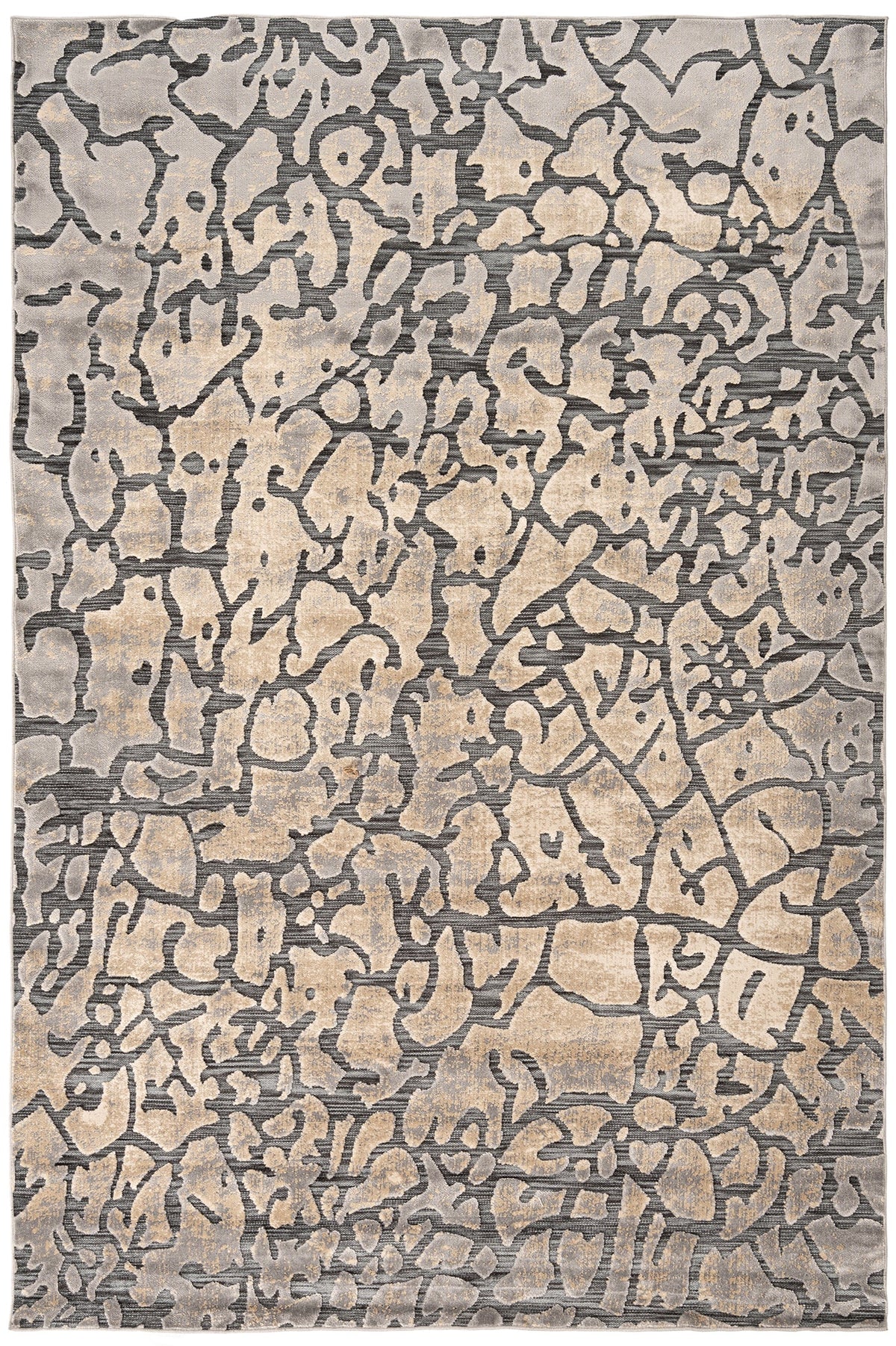 230x160 Hadorn Edizione limitata
