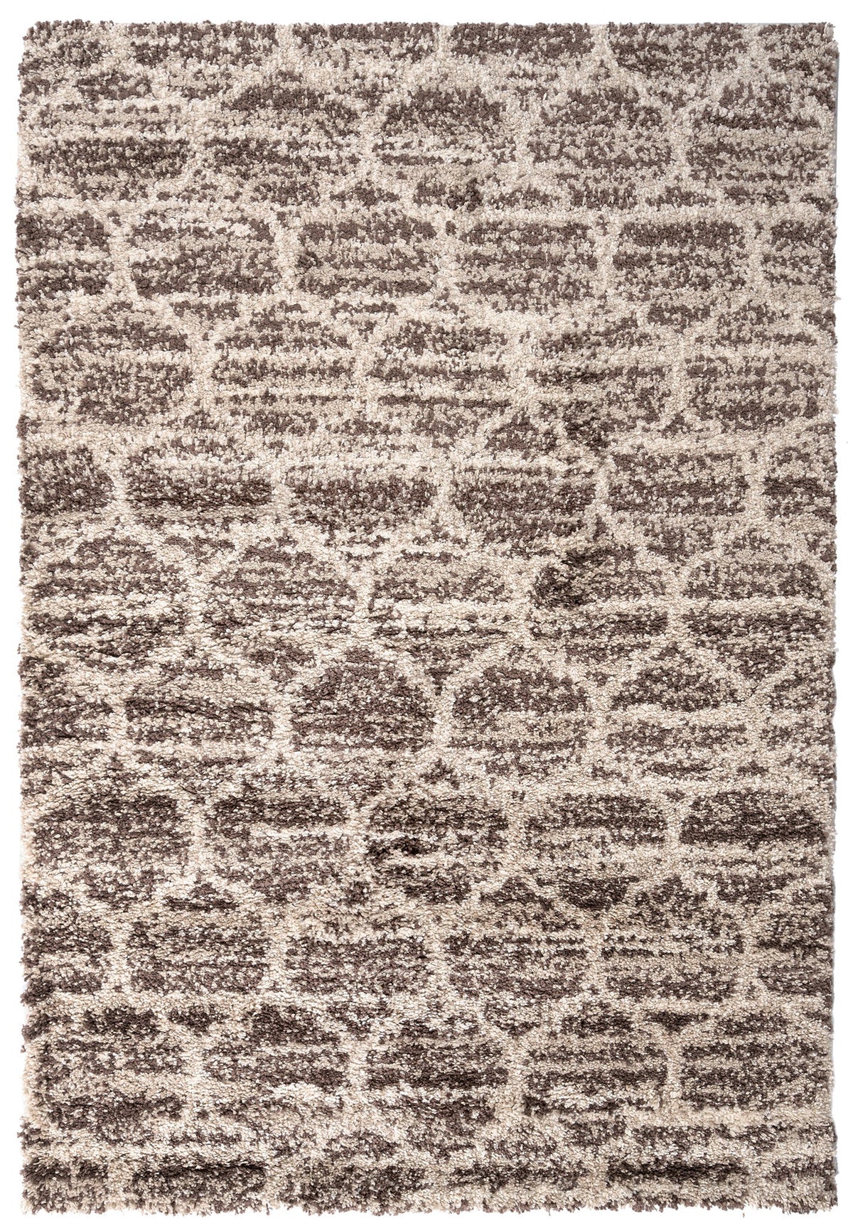 230x160 Shaggy - Hadorn Limited Edition