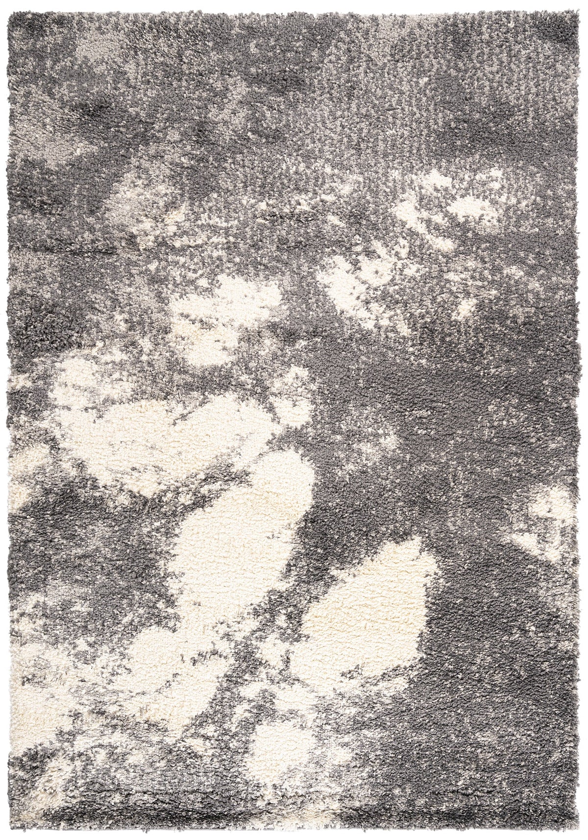 230x160 Shaggy - Hadorn Limited Edition