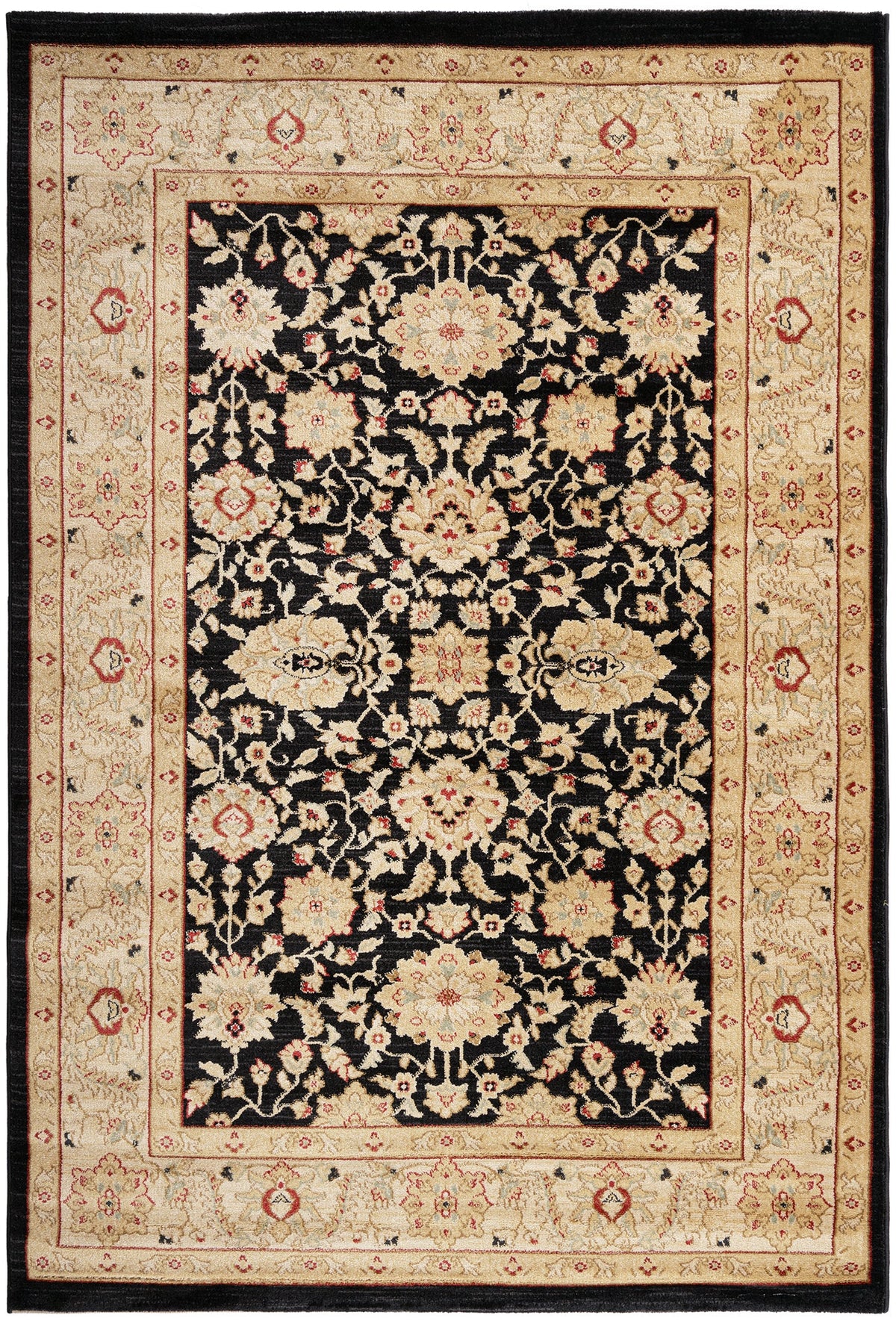 230x160 Hadorn Edizione limitata