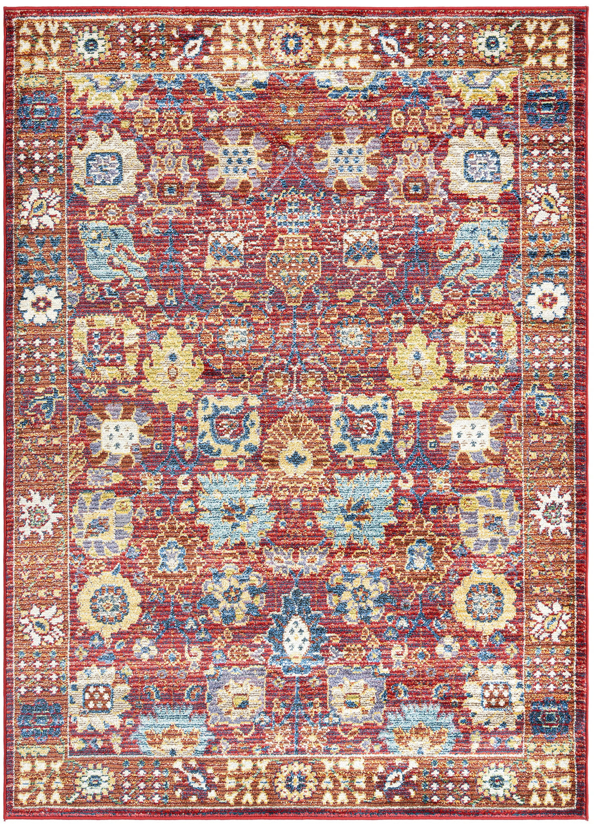 230x160 Hadorn Limited Edition
