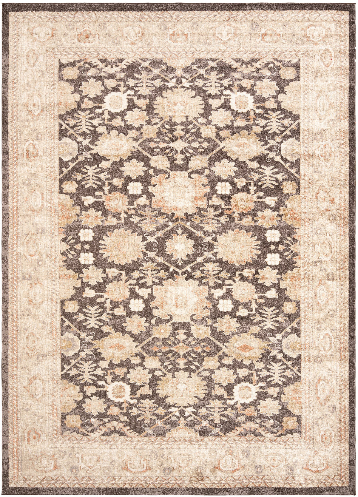 330x240 Hadorn Edizione limitata