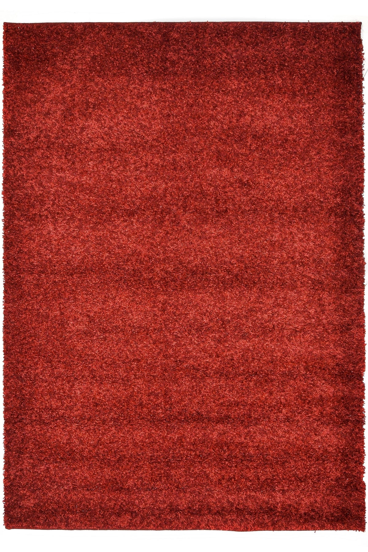 120 x 80 Shaggy Hadorn Limited Edition