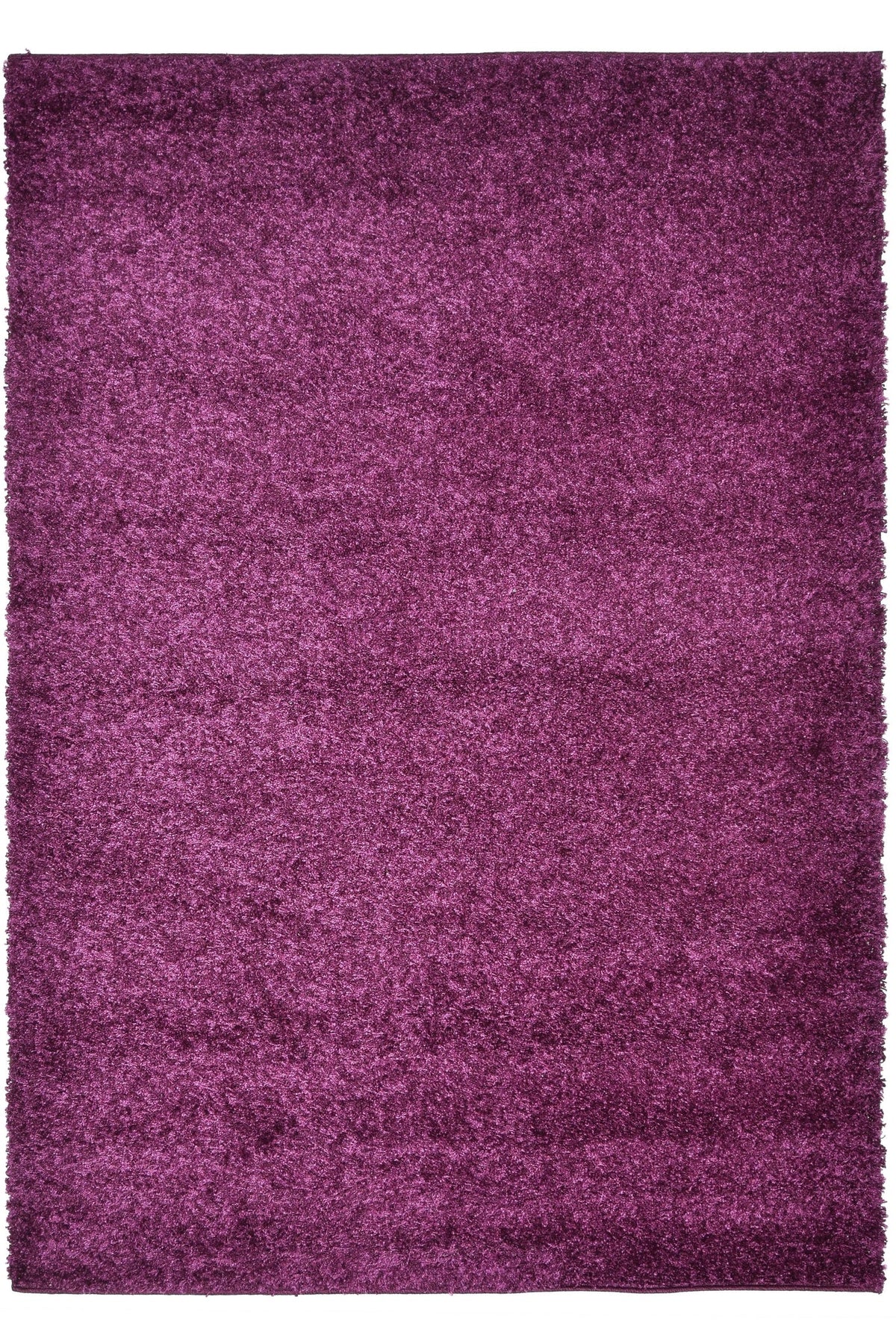 120 x 80 Shaggy Hadorn Limited Edition