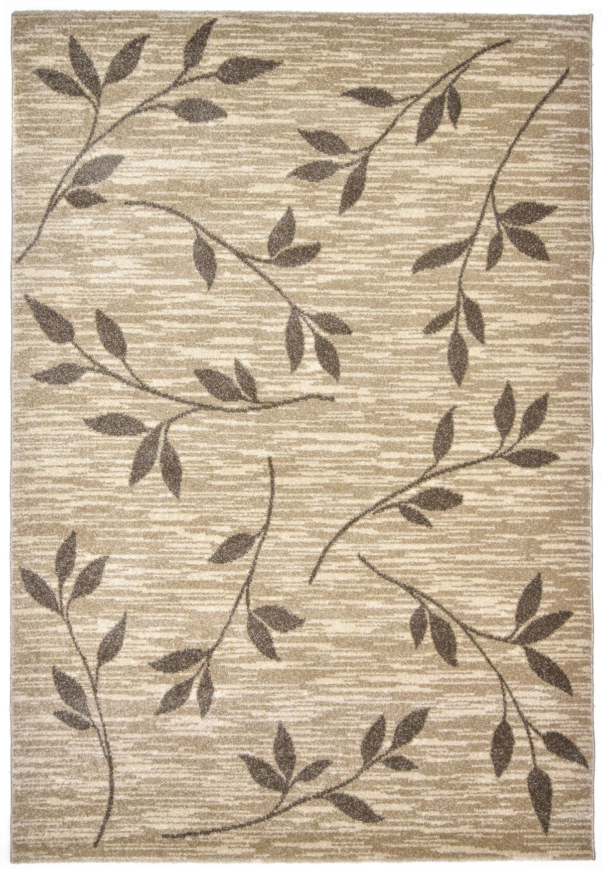 230x160 Hadorn Edizione limitata