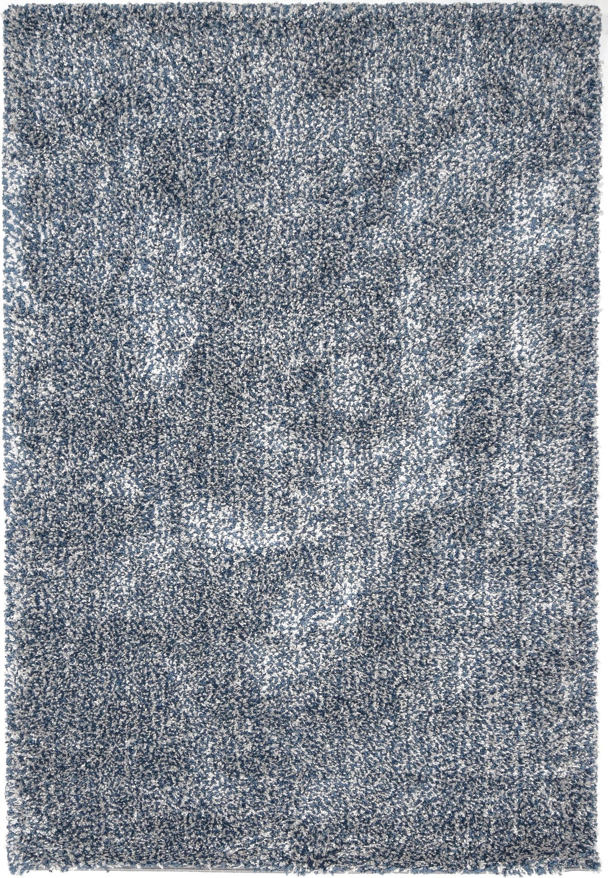 230x160 Shaggy - Hadorn Limited Edition