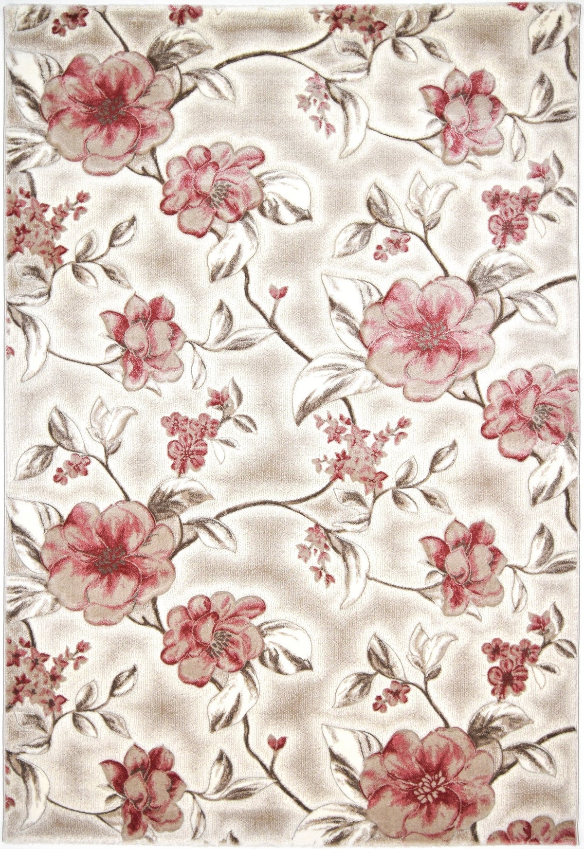 230x160 Hadorn Édition limitée