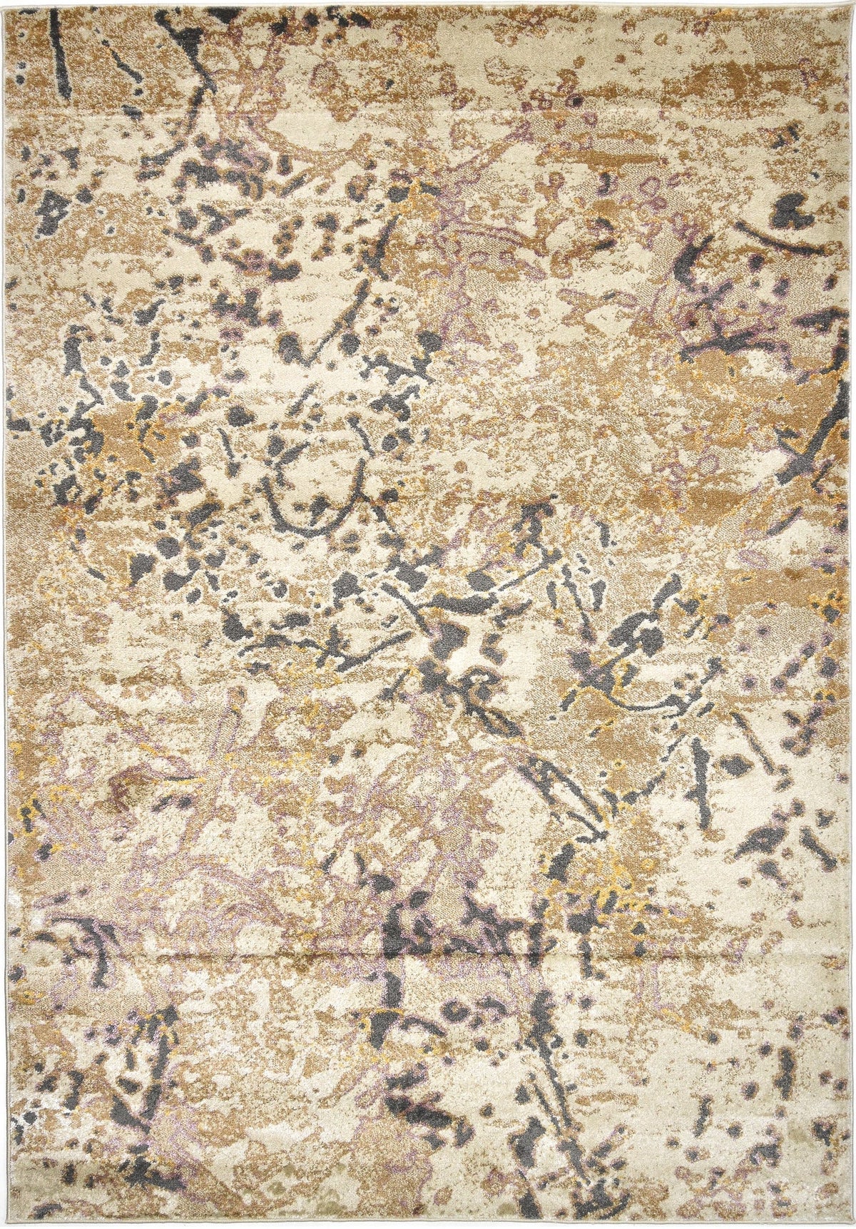 230x160 Hadorn Edizione limitata