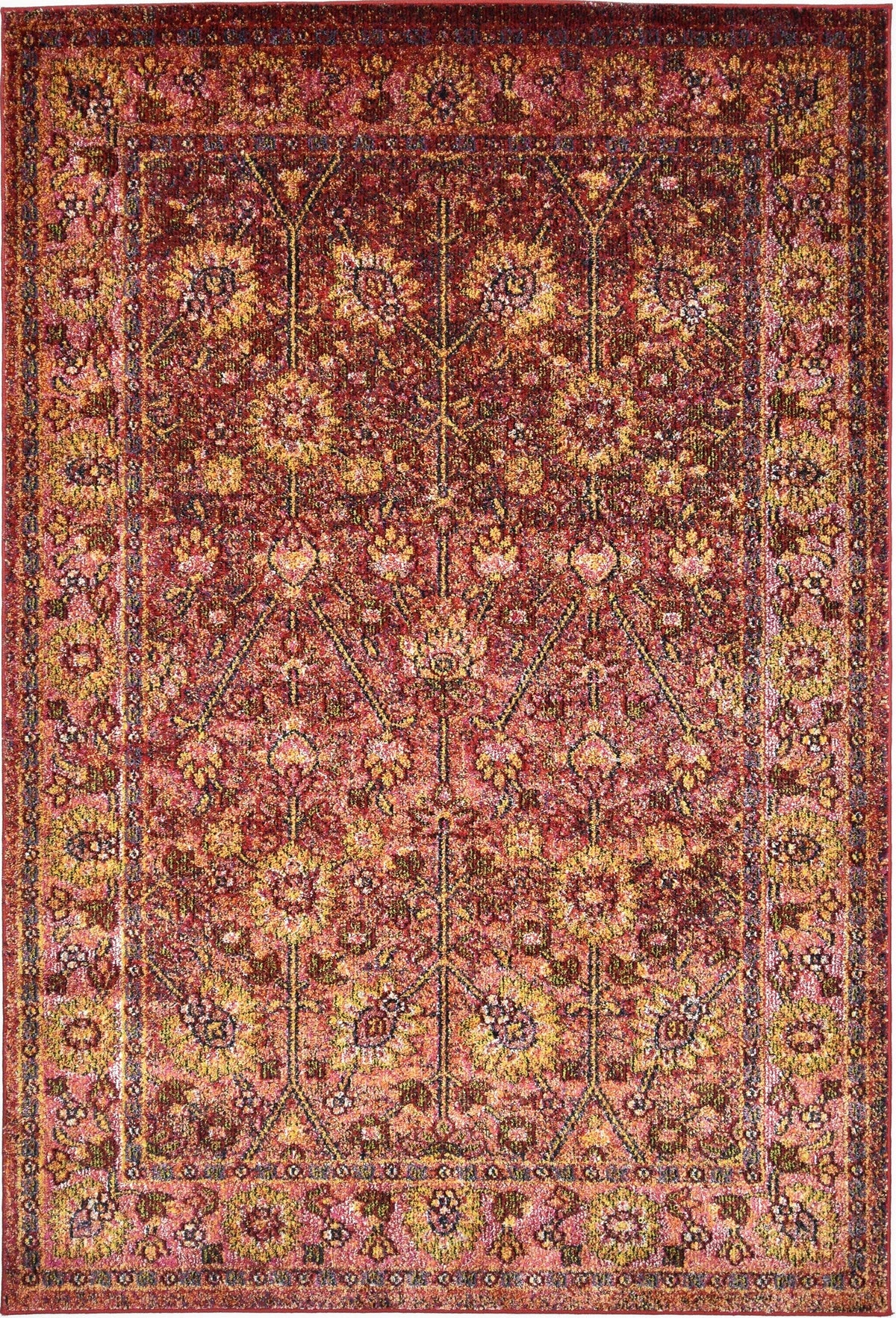 230x160 Hadorn Edizione limitata
