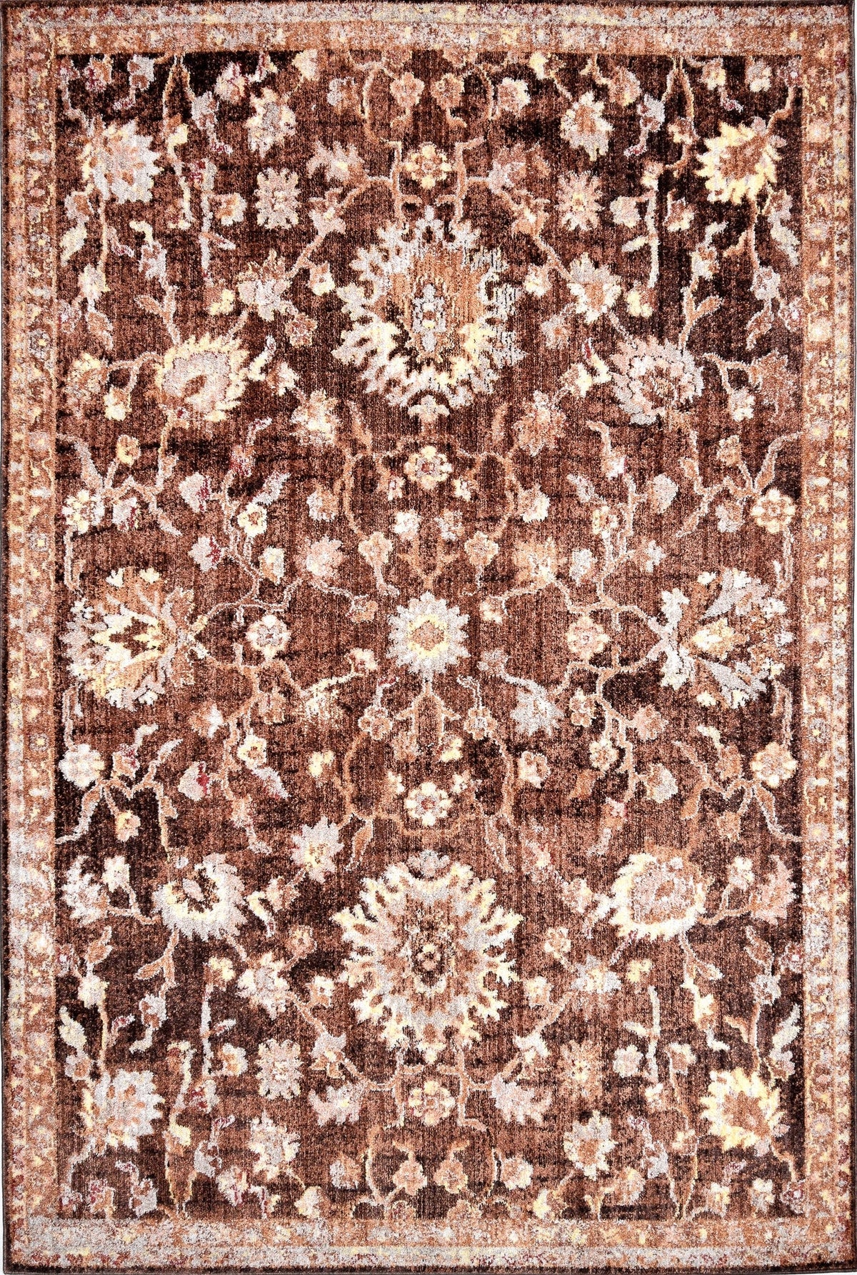 230x160 Hadorn Edizione limitata