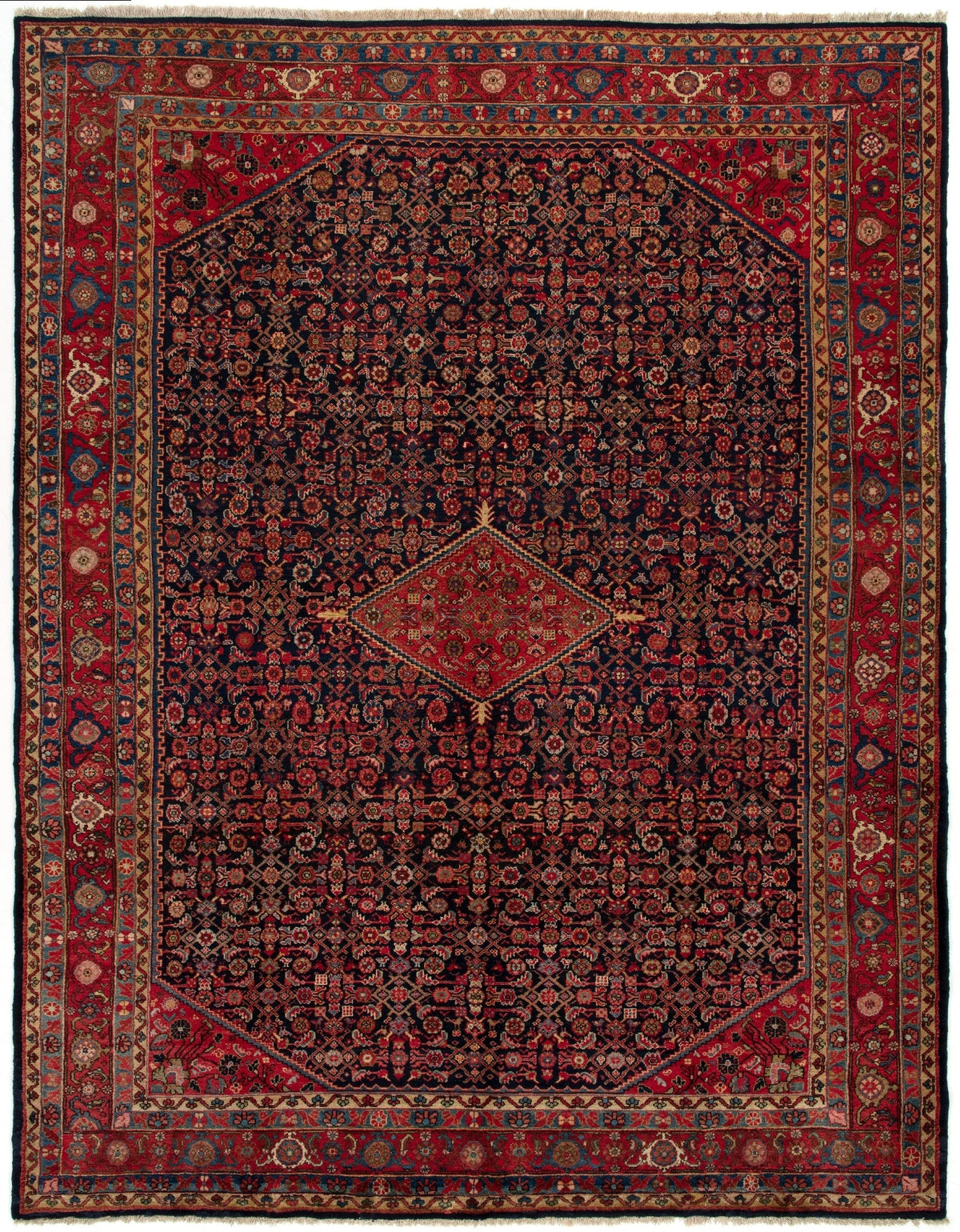 272 x 353 Malayer alt