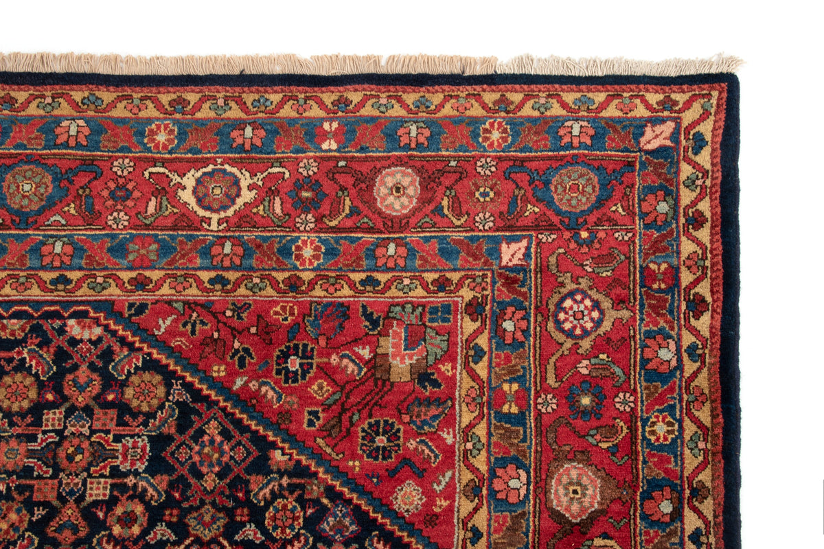 272 x 353 Malayer alt